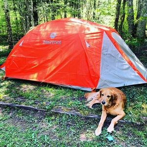 Meet your Posher, Mallory